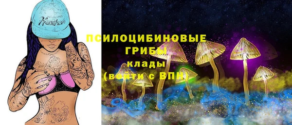 ALPHA-PVP Алексеевка