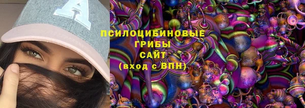 гидра Алзамай