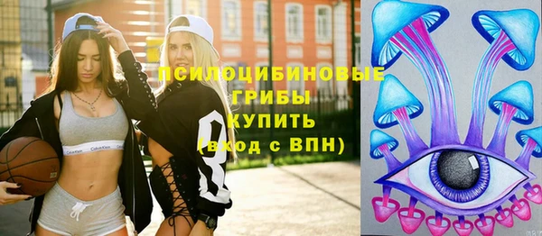 гидра Алзамай
