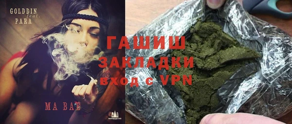 индика Абинск