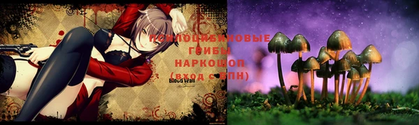 ALPHA-PVP Алексеевка