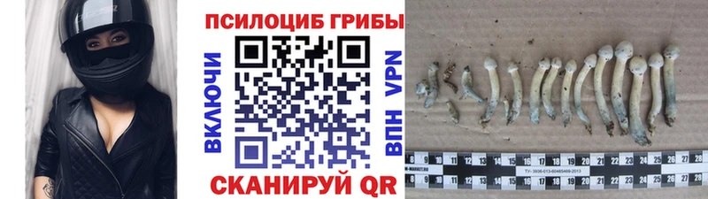 Галлюциногенные грибы Psilocybe  как найти   Алушта 